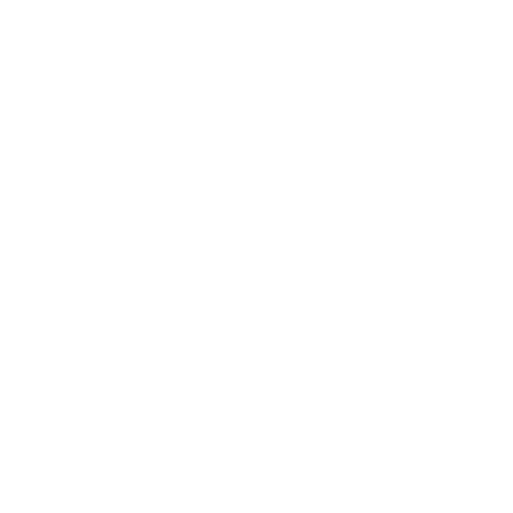 icon auto